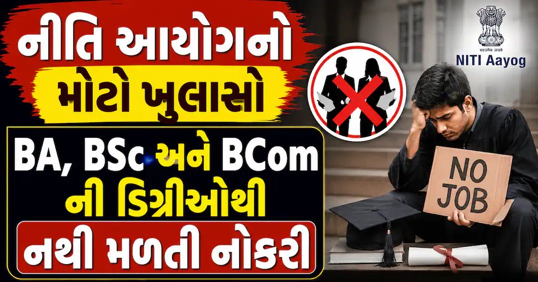 શિક્ષણનીતિ આયોગનો અહેવાલ: સ્નાતક ડિગ્રી માત્ર જ્ઞાન આપે છે, નોકરીની બાંયધરી નથી