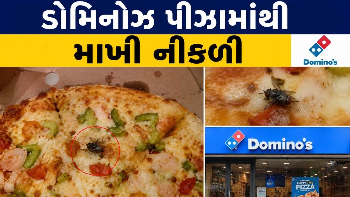રાજકોટ: ડોમિનોઝ પીઝામાં માખી મળ્યાનો વીડિયો વાયરલ