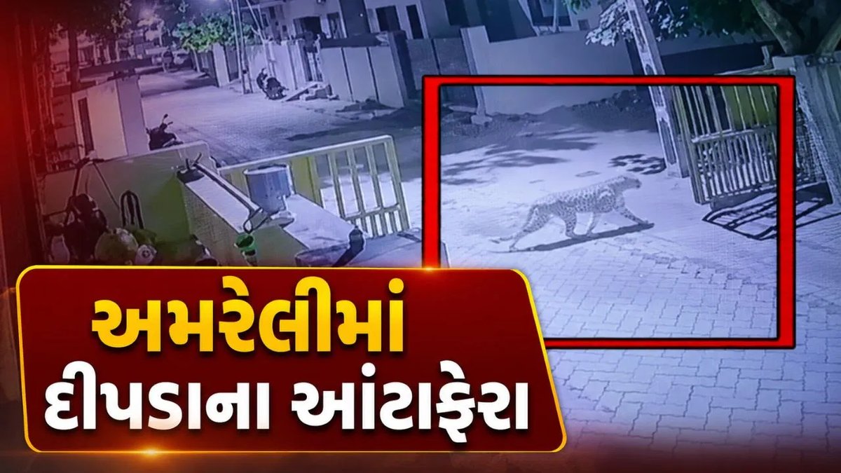 અમરેલી શહેરમાં દીપડો દેખાયો: CCTVમાં કેદ થયા દ્રશ્યો, વન વિભાગ સતર્ક
