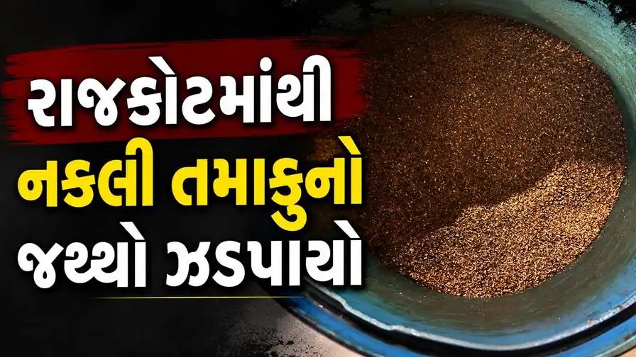 રાજકોટમાં નકલી તમાકુનો જથ્થો ઝડપાયો, 1.72 લાખના મુદ્દામાલ સાથે બેની અટકાયત