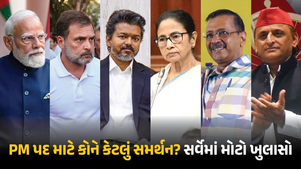 PM પદના સર્વેમાં તમિલનાડુના મુખ્યમંત્રી વિજય ત્રીજા ક્રમે, કોંગ્રેસમાં ચિંતા