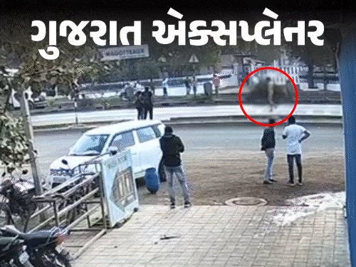 રાજકુમાર જાટના પિતાનો દાવો: નગ્ન વ્યક્તિ મારો દીકરો નથી; બસ અકસ્માતે ઈજાનો સવાલ