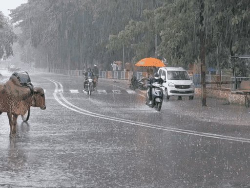 ગુજરાતમાં વરસાદે ખેડૂતોની ચિંતા વધારી: પાકને નુકસાનનો ભય