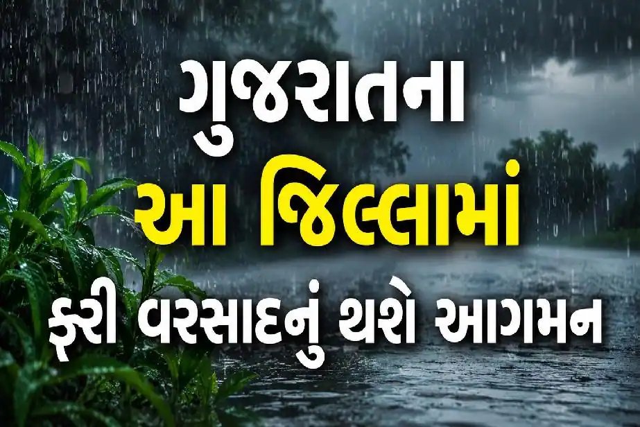 ગુજરાતમાં 4 ઓગસ્ટથી ફરી વરસાદી માહોલ: આ જિલ્લાઓમાં મેઘસવારીનું એલર્ટ