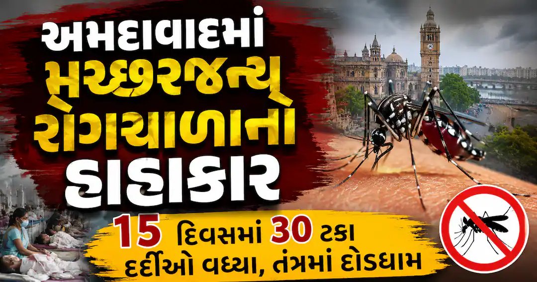 અમદાવાદમાં મચ્છરજન્ય રોગોના કેસ વધ્યા: ૧૫ દિવસમાં ૩૦ ટકાનો વધારો, તંત્ર સતર્ક
