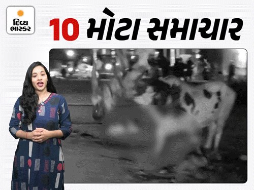 ભાજપના જૂથો વચ્ચે અથડામણ, મોદીનામે ફિશ માર્કેટ વિવાદ, હાઈકોર્ટે જામીન ફગાવ્યા