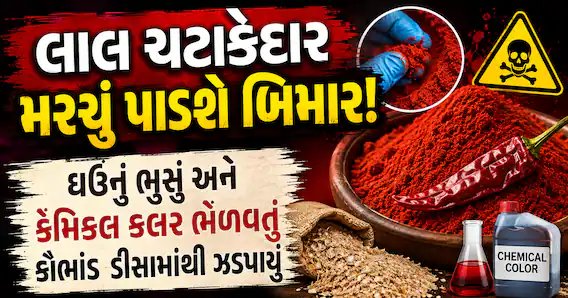ડીસામાં મરચું પાવડરમાં ઘઉંનું ભુસું અને કેમિકલ કલર ભેળવવાનું કૌભાંડ ઝડપાયું