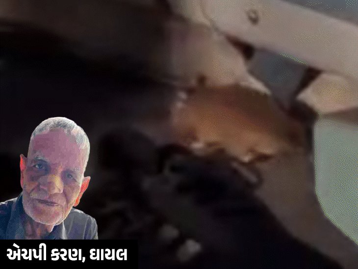 ઉના-ઇન્દોર એક્સપ્રેસમાં ફર્સ્ટ એસી કોચમાં ઉંદરે 78 વર્ષના મુસાફરને કરડ્યો