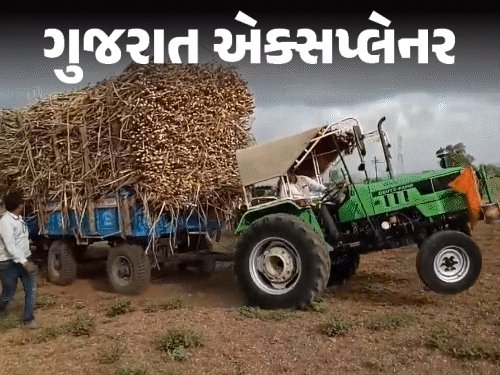 ખાંડના ભાવ સ્થિર રાખવા સરકારનાં પગલાં; તહેવારો બાદ વધારાની શક્યતા