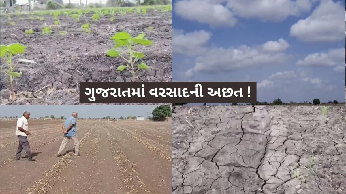 ગુજરાતમાં ઓગસ્ટમાં વરસાદની અછતથી ચિંતા, સૌરાષ્ટ્ર-કચ્છમાં કૃત્રિમ વરસાદની ચર્ચા