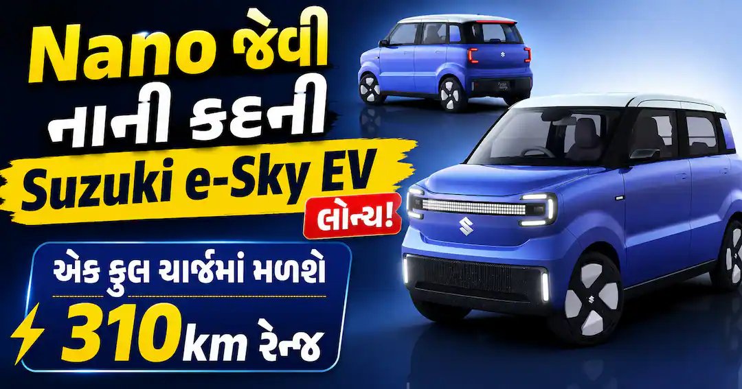 નાના કદમાં મોટી રેન્જ: સુઝુકીની e-Sky ઇલેક્ટ્રિક કાર લોન્ચ, 310 કિમીની રેન્જ