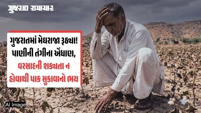 ગુજરાતમાં 7% ઓછો વરસાદ, કચ્છ-સૌરાષ્ટ્રમાં 30% ઘટ; ખેડૂતો ચિંતિત